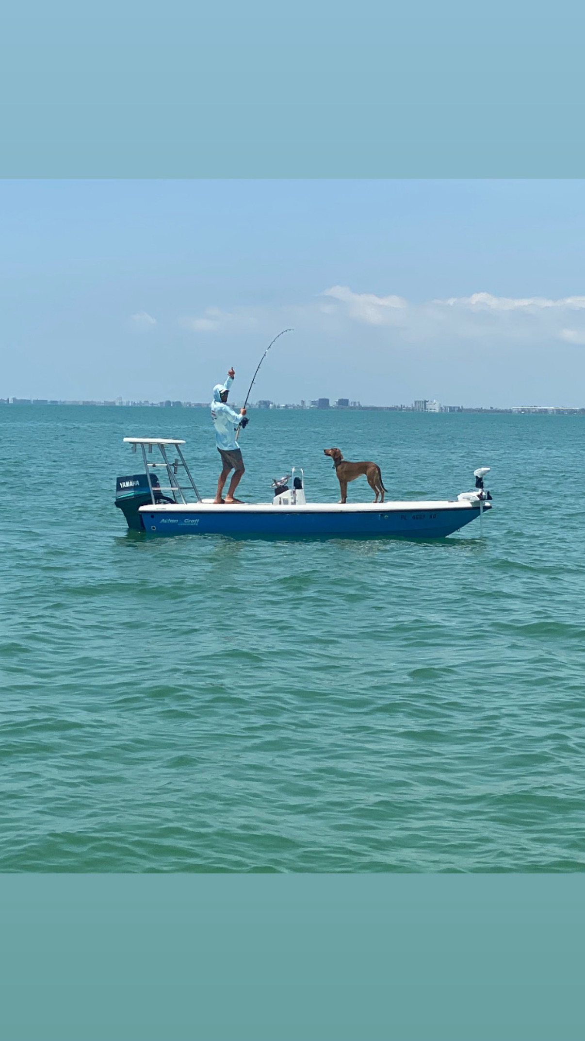 BB5174B8-7EBB-4862-97FB-2A0D277ED766